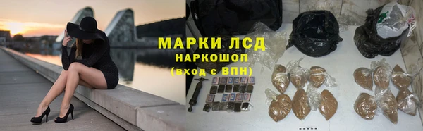 шишки Магадан