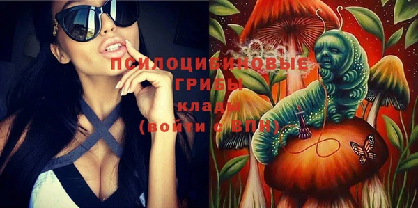 мдма Медвежьегорск