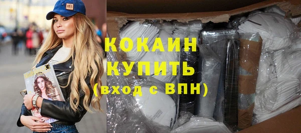стаф Нея