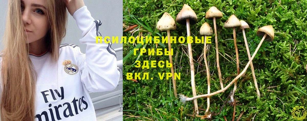 PSILOCYBIN Мегион