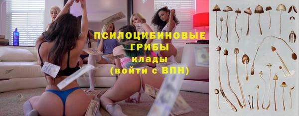 трава Майский