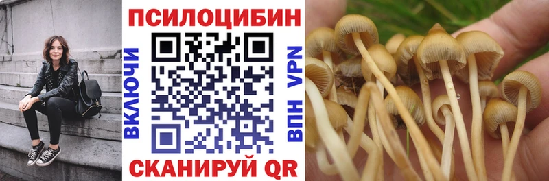 Галлюциногенные грибы GOLDEN TEACHER  купить закладку  Шенкурск 