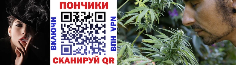 мега ссылка  Шенкурск  Бошки Шишки семена 